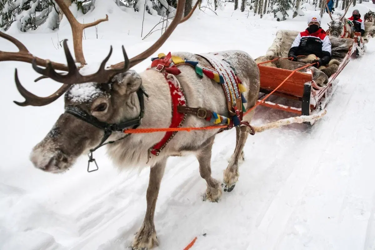 WRC21. Arctic Rally. D-0. Neve & Chiodi. Ma non è così semplice…  (3)
