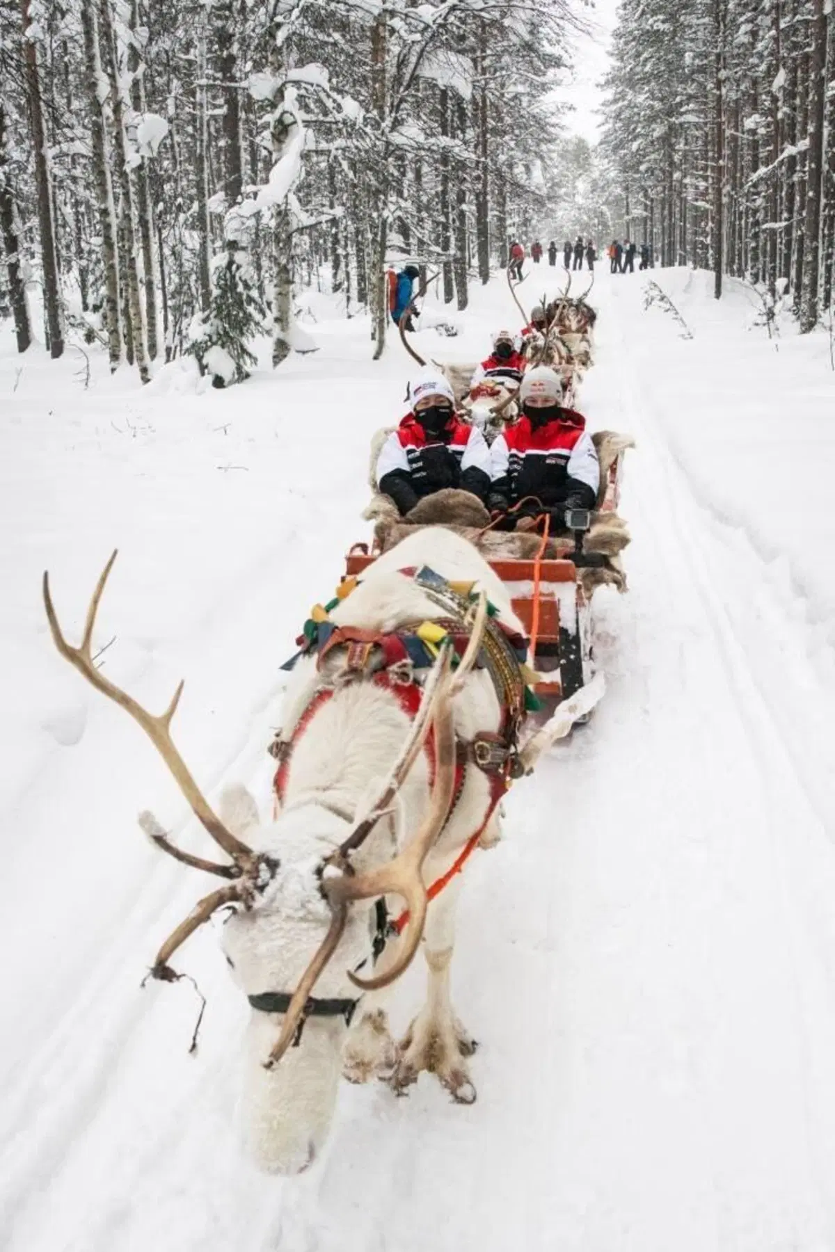WRC21. Arctic Rally. D-0. Neve & Chiodi. Ma non è così semplice…  (5)