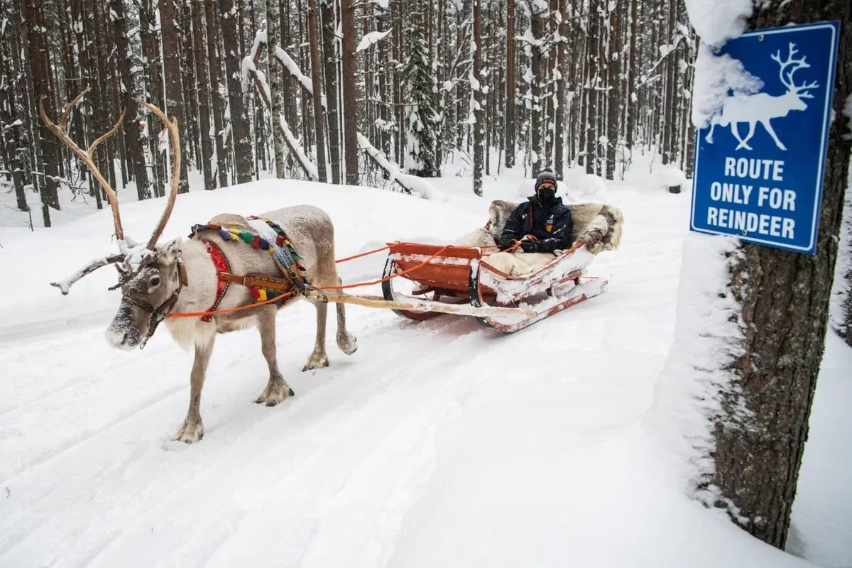 WRC21. Arctic Rally. D-0. Neve & Chiodi. Ma non è così semplice…  (7)
