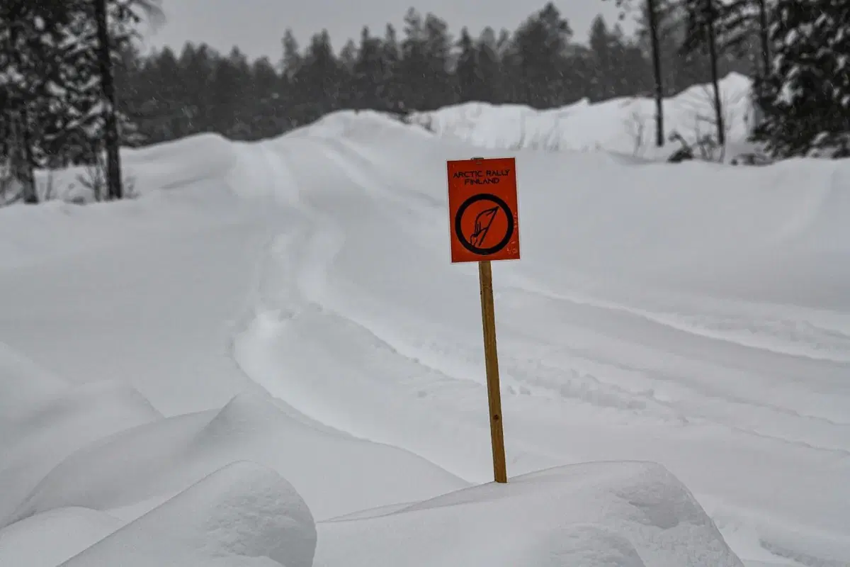 WRC21. Arctic Rally. D-0. Neve & Chiodi. Ma non è così semplice…  (11)
