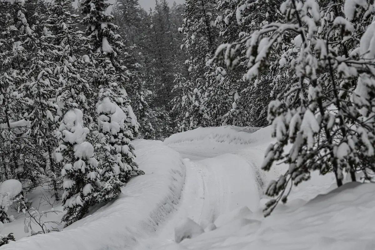 WRC21. Arctic Rally. D-0. Neve & Chiodi. Ma non è così semplice…  (13)