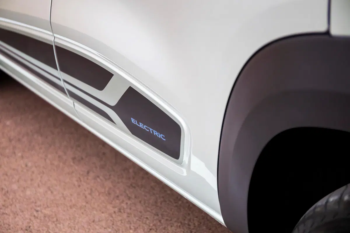 Dacia Spring Business Electric 45 (53)