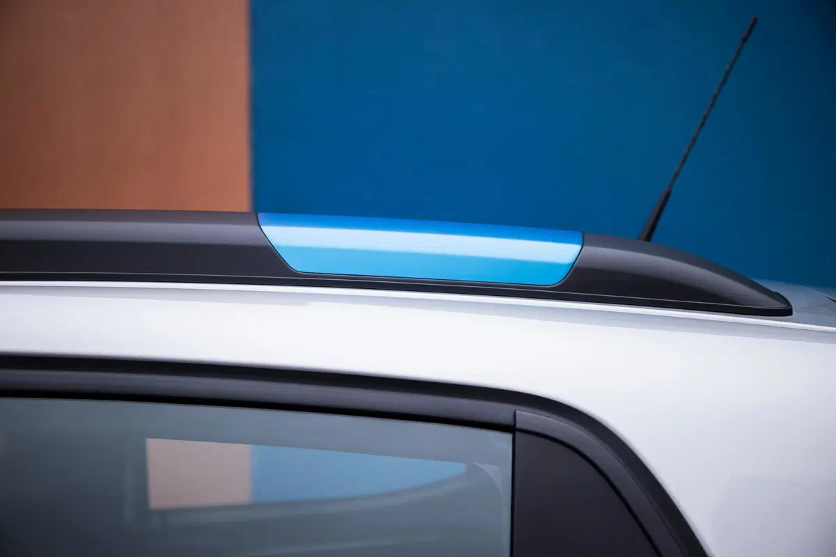 Dacia Spring Business Electric 45 (56)
