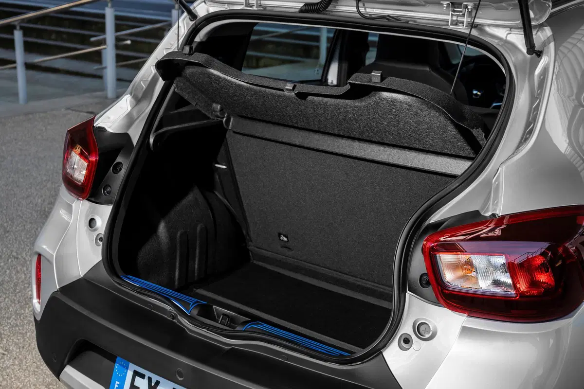 Dacia Spring Business Electric 45 (47)