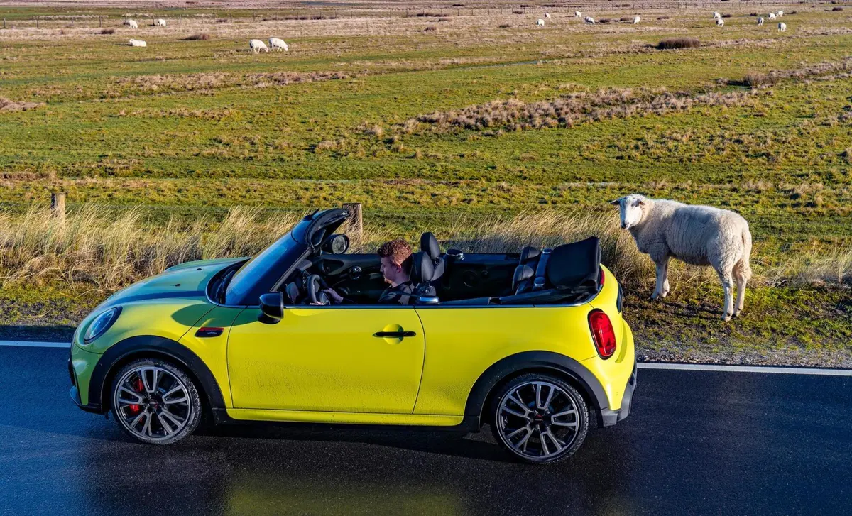 MINI Mini Cabrio 2.0 JCW JCW auto (2)
