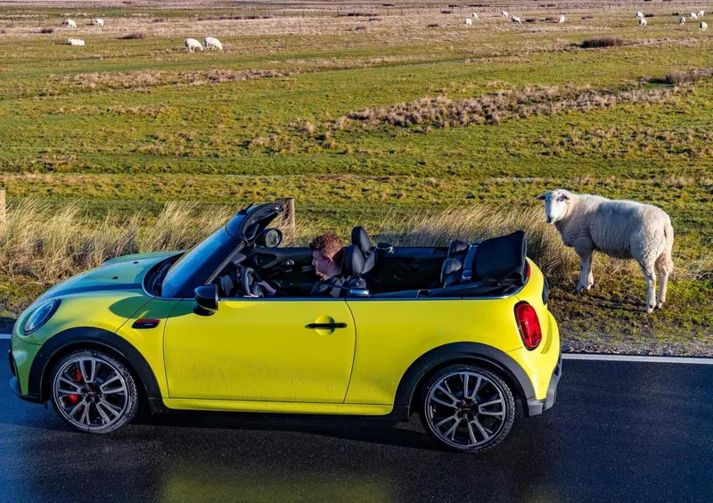 MINI Mini Cabrio (2015-24) (2)