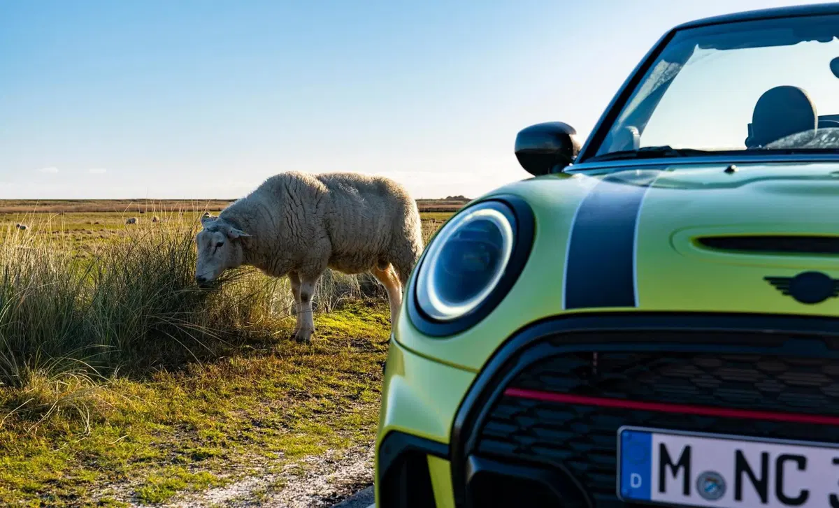 MINI Mini Cabrio 2.0 JCW JCW auto (20)