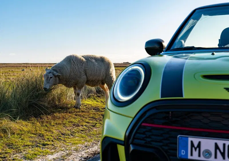 MINI Mini Cabrio (2015-24) (20)