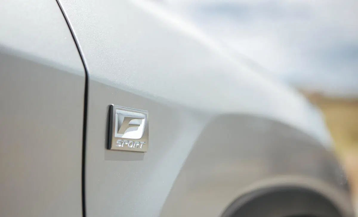 Lexus RX Hybrid Luxury (18)