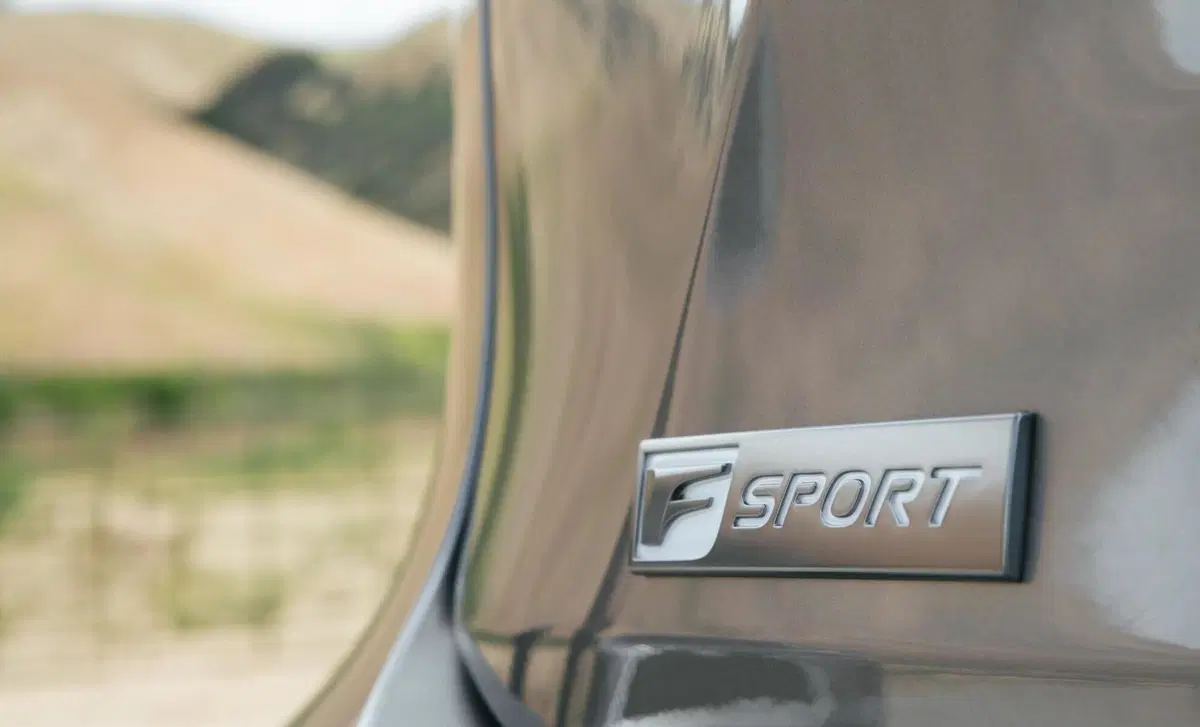 Lexus RX Hybrid Luxury (19)