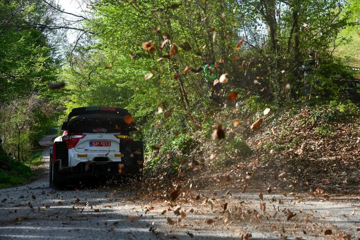 WRC21. Croazia. Il solito, enorme Sébastien Ogier (doppietta Toyota) (17)