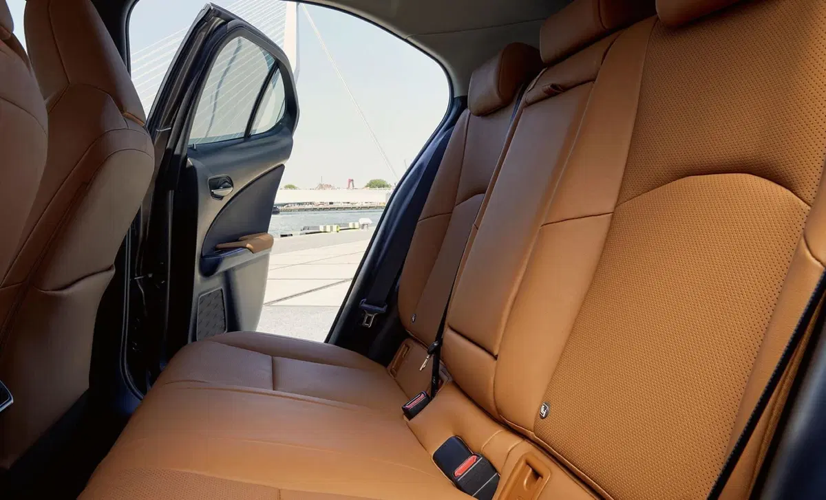 Lexus UX 300e 72,8kWh Luxury (36)