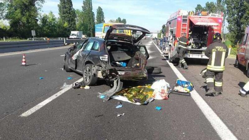 Incidente sull&#039;A14: capriolo sfonda parabrezza. Donna gravissima