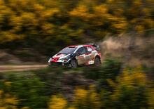 WRC21. Rally Portogallo. Tanak? No, Evans e Toyota