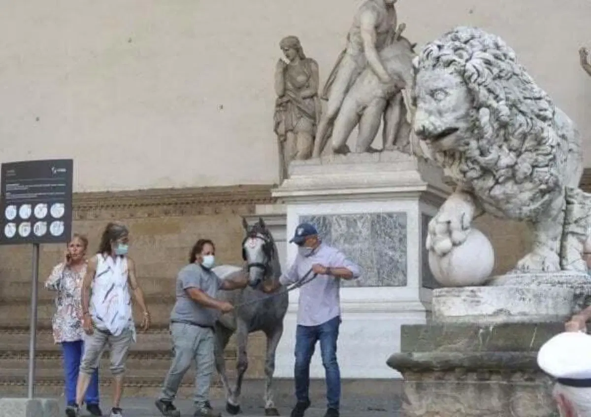Firenze, cavallo imbizzarrito tampona l'auto della ministra Lamorgese