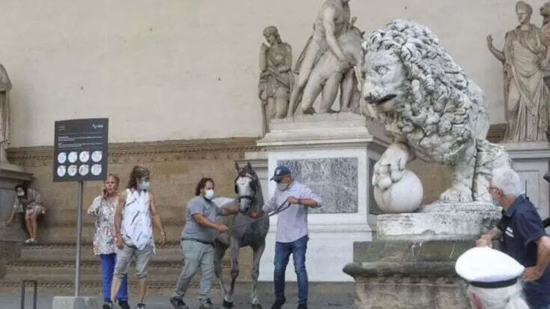 Firenze, cavallo imbizzarrito tampona l'auto della ministra Lamorgese