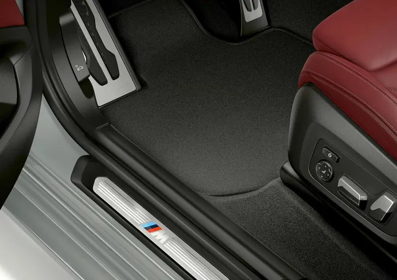 BMW X4 (2018-25) (18)