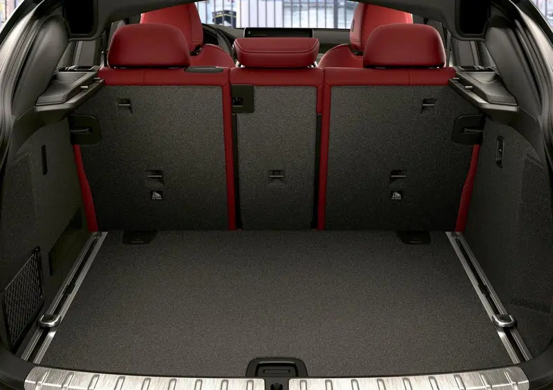 BMW X4 (2018-25) (14)