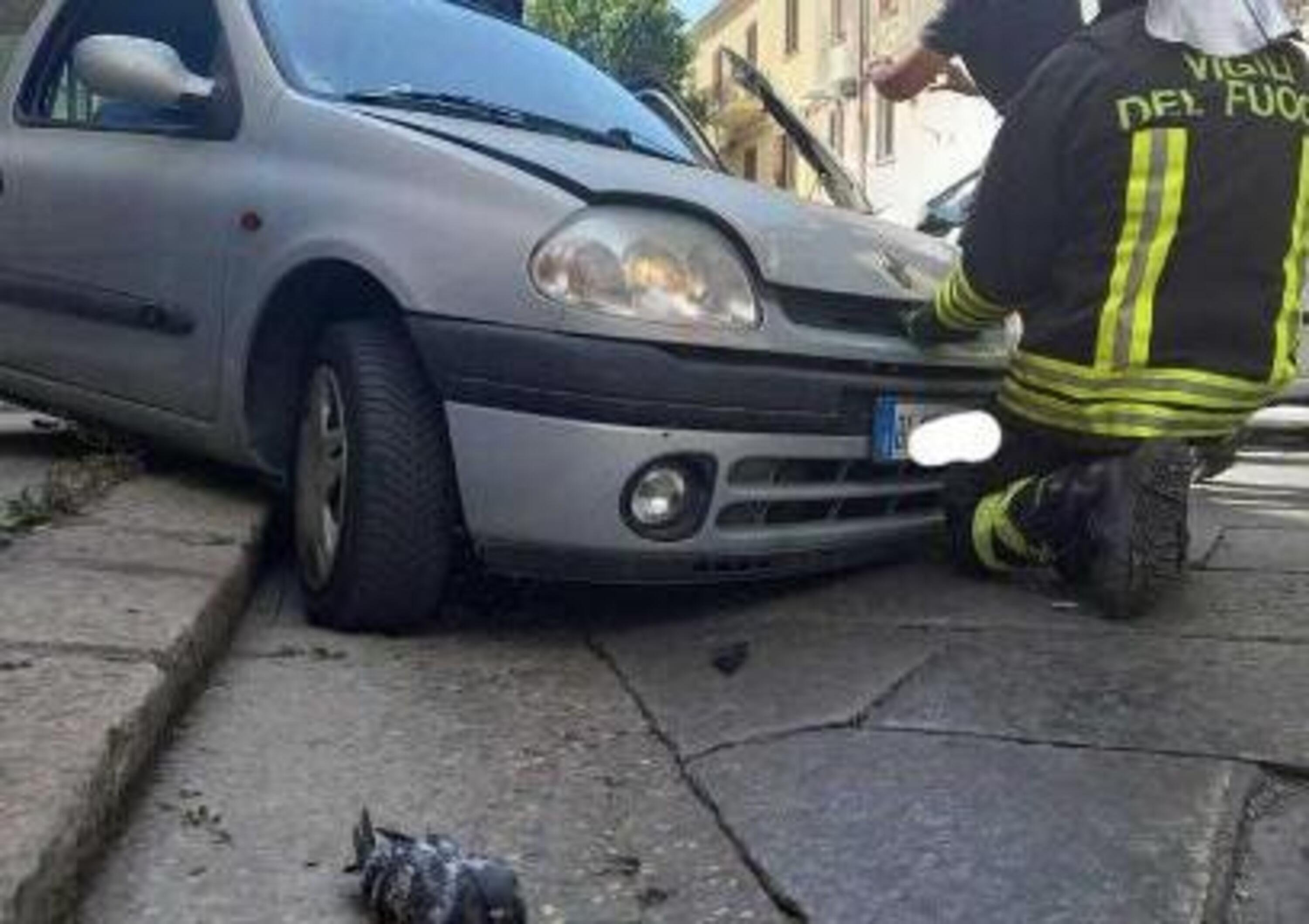 Frontale a Sassari: tutta colpa di un piccione piombato in auto dal finestrino