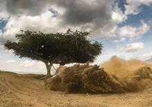 WRC 2021. Kenya. Ecatombe Safari. Si “salva” Neuville volando