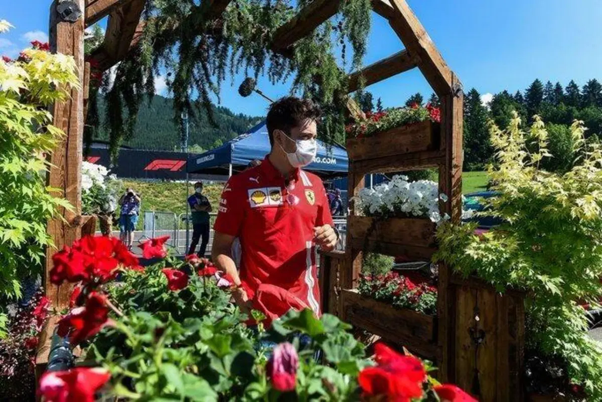F1, GP Stiria 2021: vince Verstappen (46)
