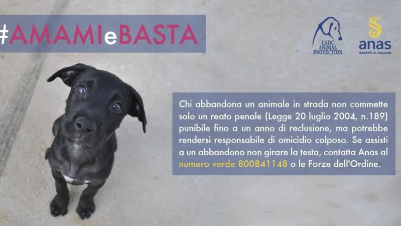 Anas lancia una campagna contro l'abbandono degli animali