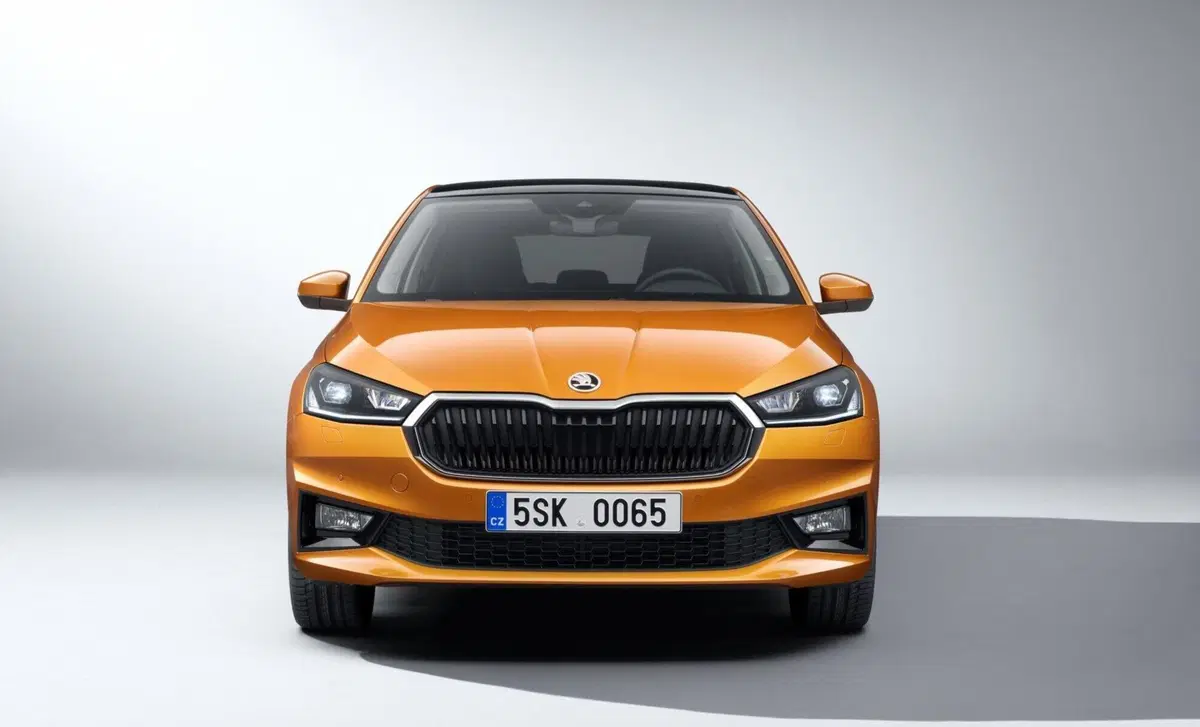 Skoda Fabia 1.0 tsi evo 130 Edition 95cv (3)