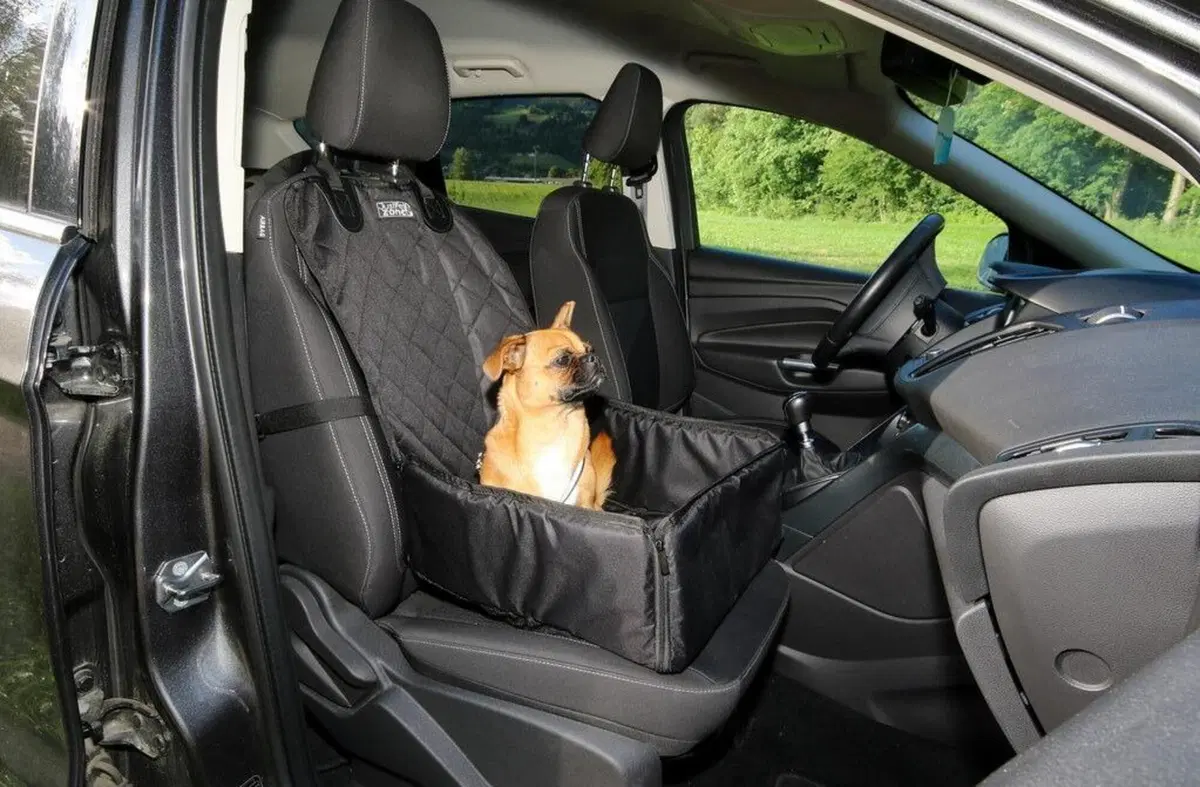 Animali in auto, Consigli e regole per il trasporto di cani e gatti in sicurezza (4)