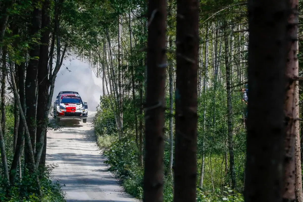 WRC21. Estonia. Ed è Kalle Rovanpera, Toyota, La Meglio Gioventù!  (12)