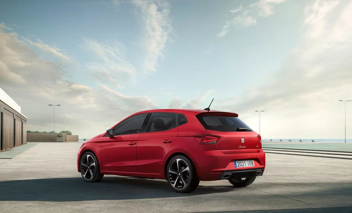 SEAT Ibiza 1.6 TDI 95 CV 5 porte Business (26)