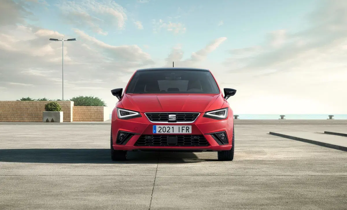 SEAT Ibiza 1.6 TDI 95 CV 5 porte Business (25)