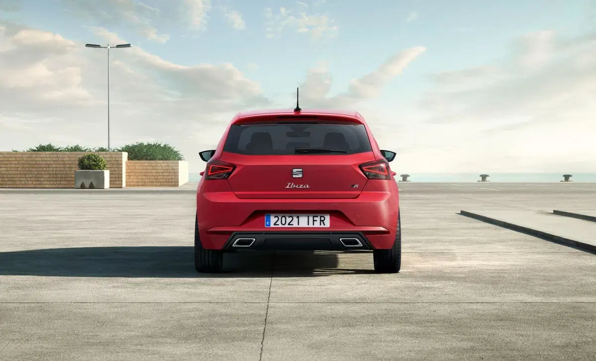 SEAT Ibiza 1.6 TDI 95 CV 5 porte Business (27)
