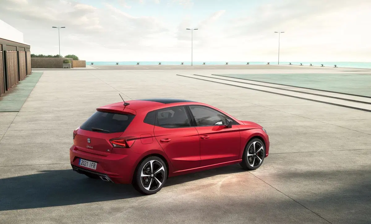 SEAT Ibiza 1.6 TDI 95 CV 5 porte Business (29)