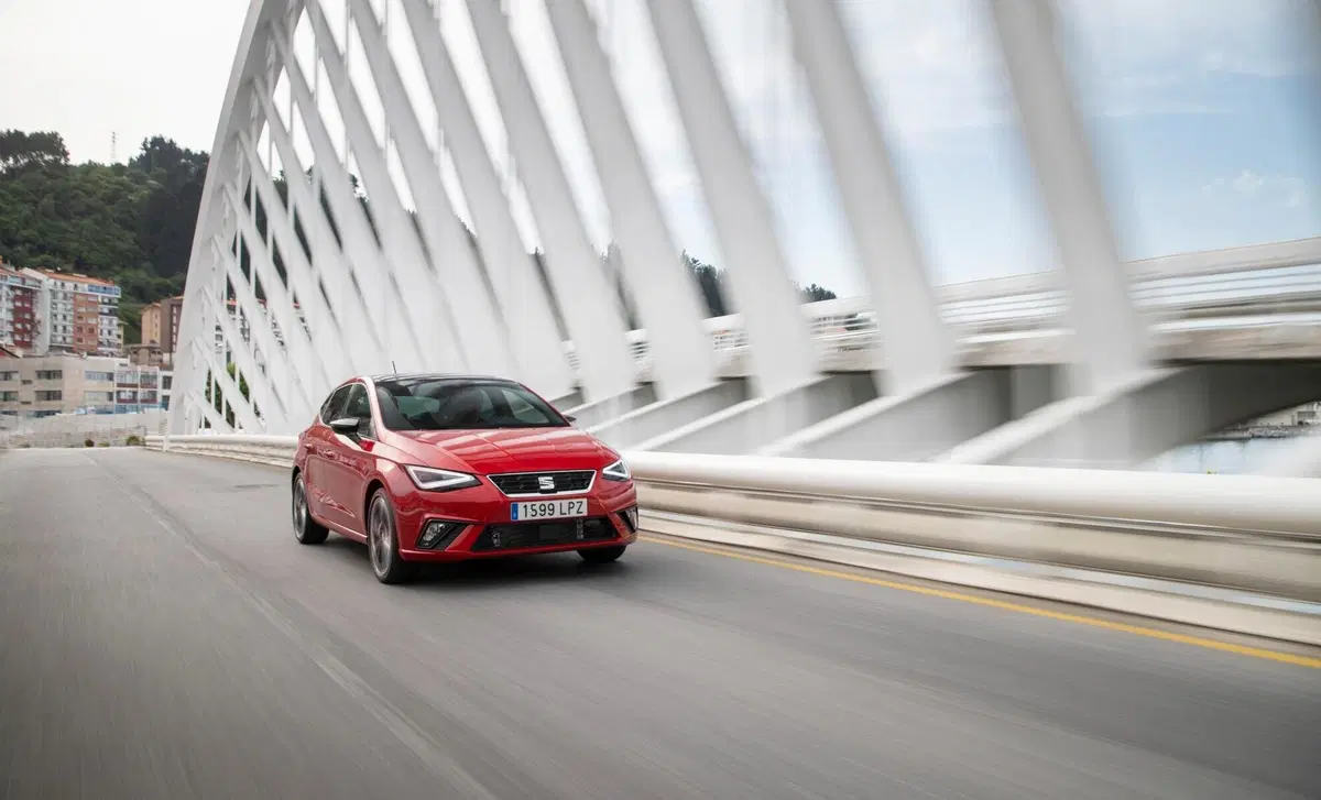 SEAT Ibiza 1.6 TDI 95 CV 5 porte Business (32)