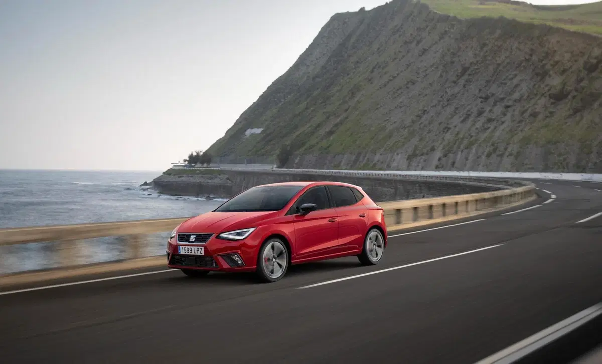 SEAT Ibiza 1.6 TDI 95 CV 5 porte Business (31)