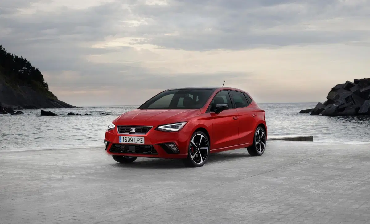 SEAT Ibiza 1.6 TDI 95 CV 5 porte Business (30)