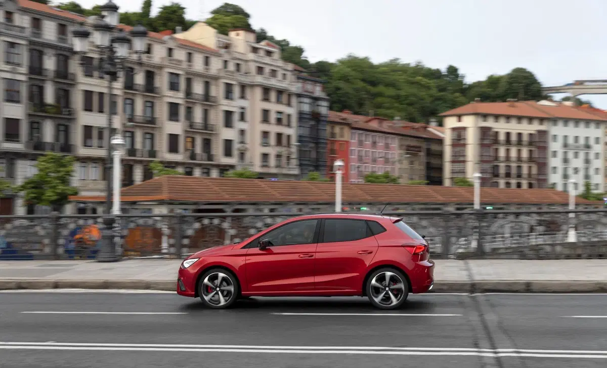 SEAT Ibiza 1.6 TDI 95 CV 5 porte Business (24)