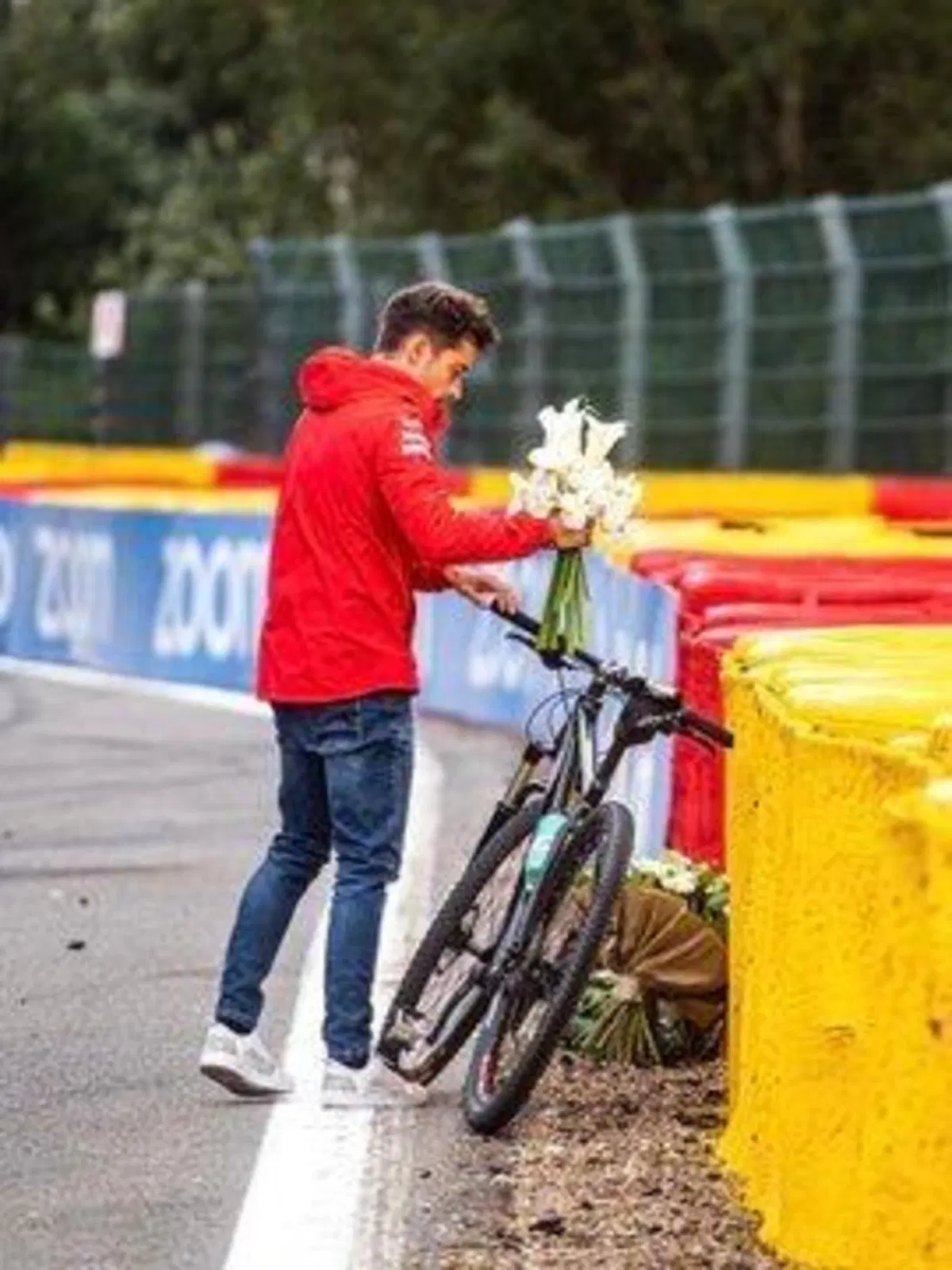 F1, GP Belgio 2021: vince Verstappen (24)