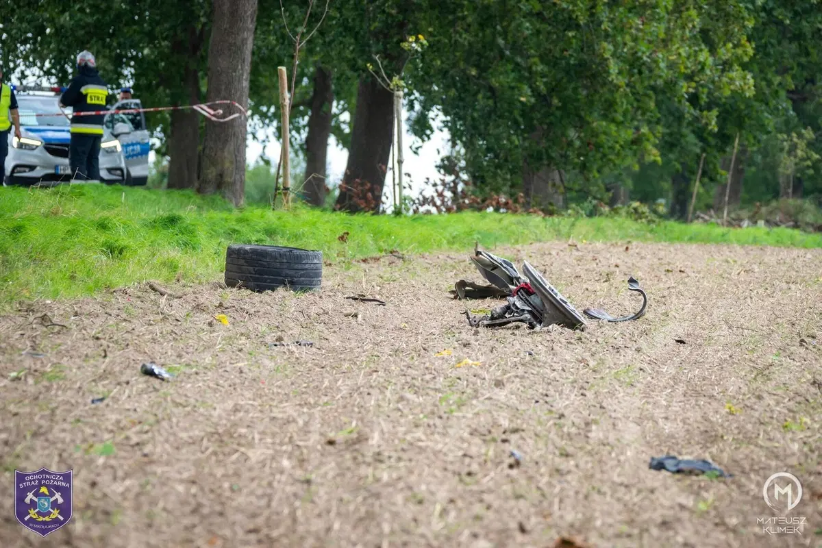 La distruzione totale di una Porsche che esce di strada in un viale alberato (4)