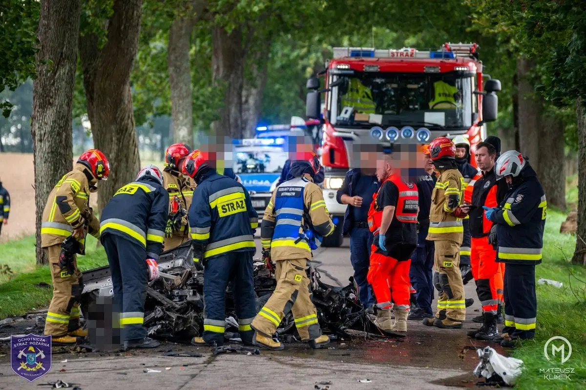 La distruzione totale di una Porsche che esce di strada in un viale alberato (3)