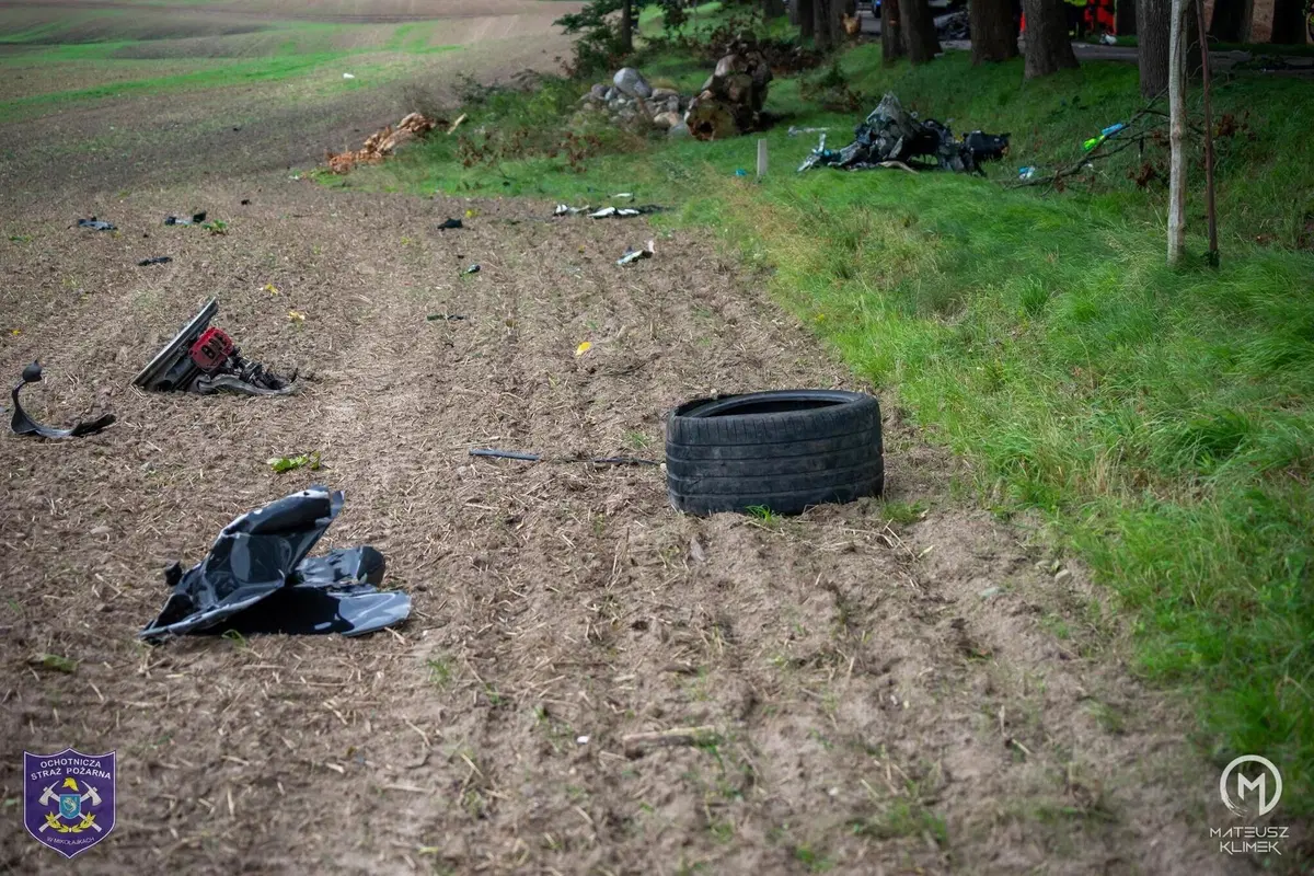 La distruzione totale di una Porsche che esce di strada in un viale alberato (6)