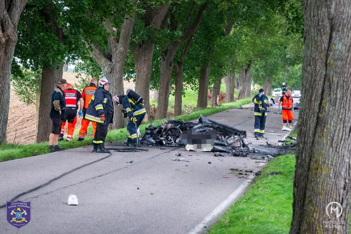 La distruzione totale di una Porsche che esce di strada in un viale alberato (7)