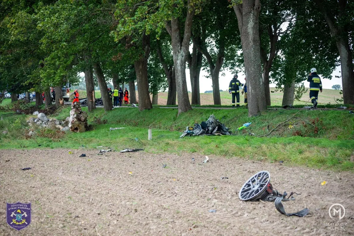 La distruzione totale di una Porsche che esce di strada in un viale alberato (9)