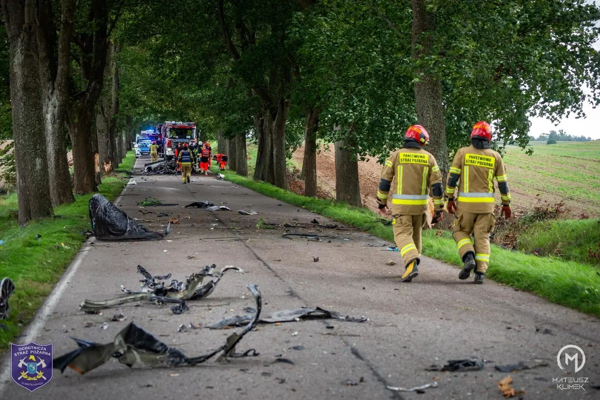 La distruzione totale di una Porsche che esce di strada in un viale alberato (11)