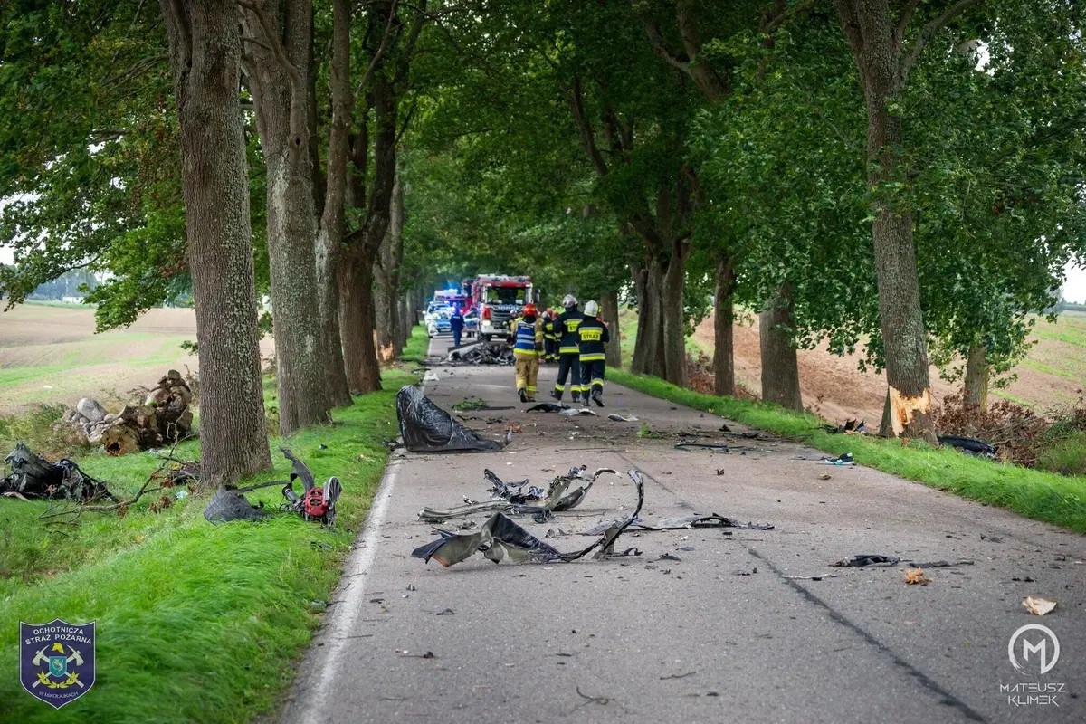 La distruzione totale di una Porsche che esce di strada in un viale alberato (13)