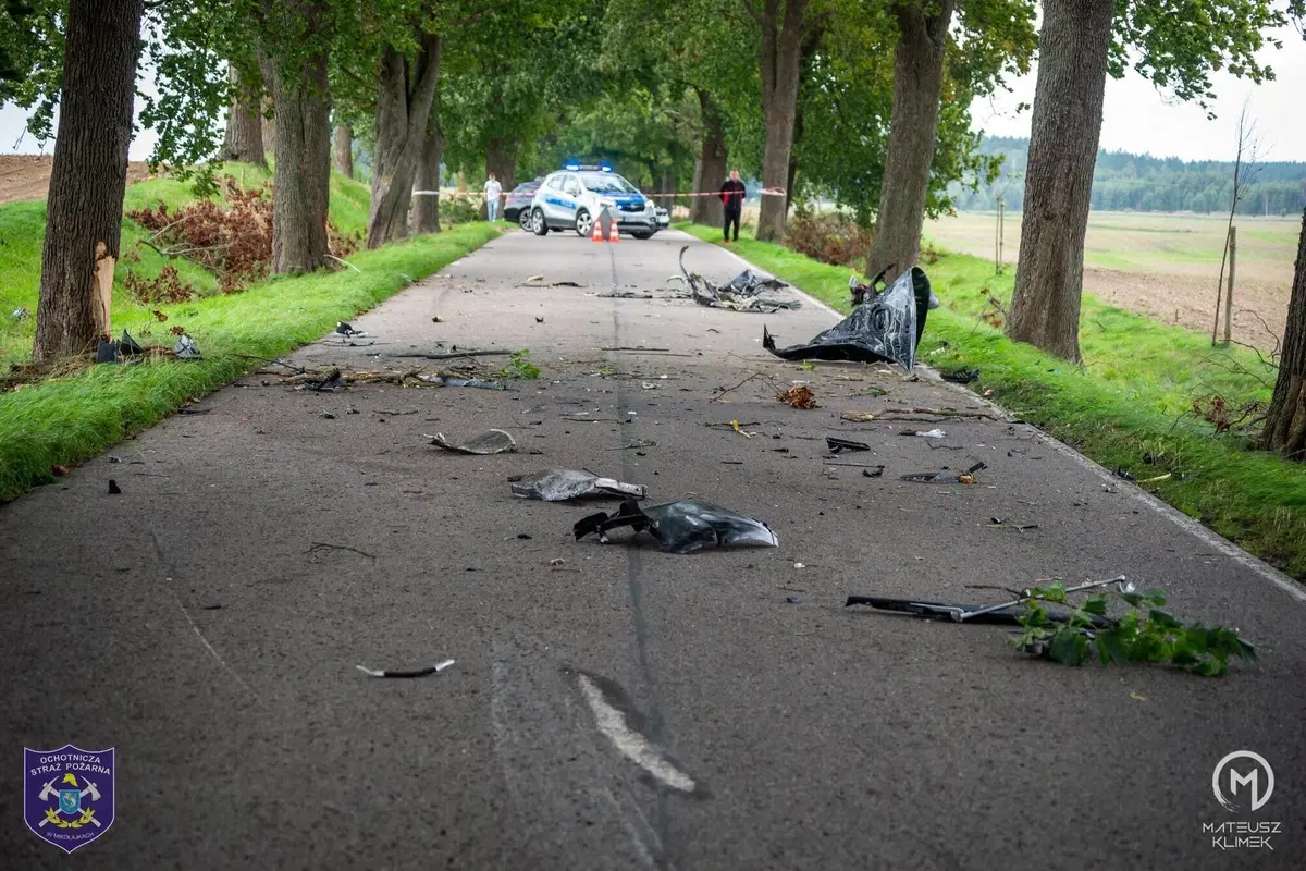 La distruzione totale di una Porsche che esce di strada in un viale alberato (12)