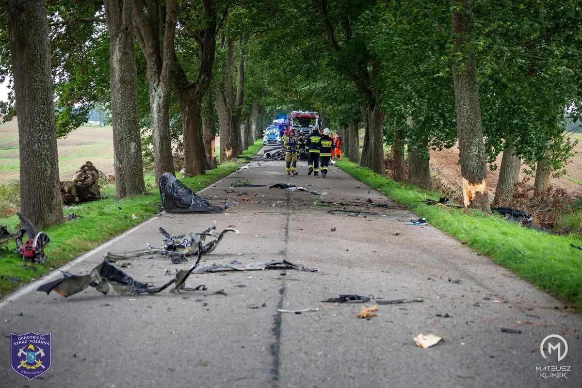 La distruzione totale di una Porsche che esce di strada in un viale alberato (14)