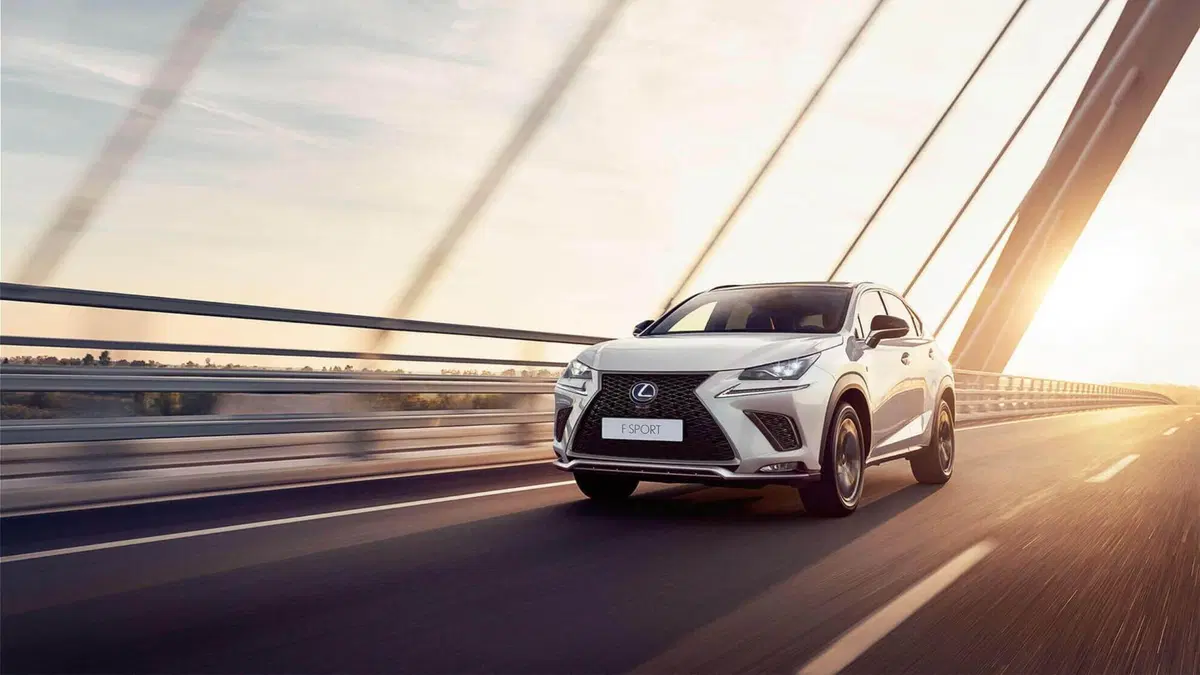 Lexus NX (2021-->>) (4)