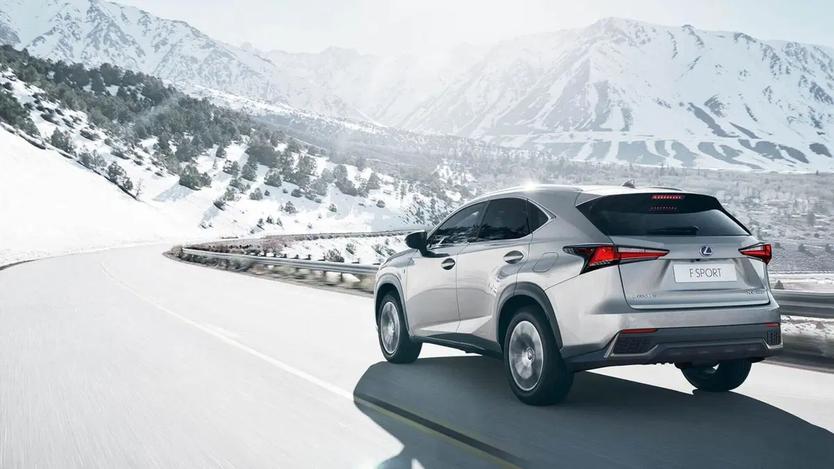 Lexus NX (2021-->>) (3)