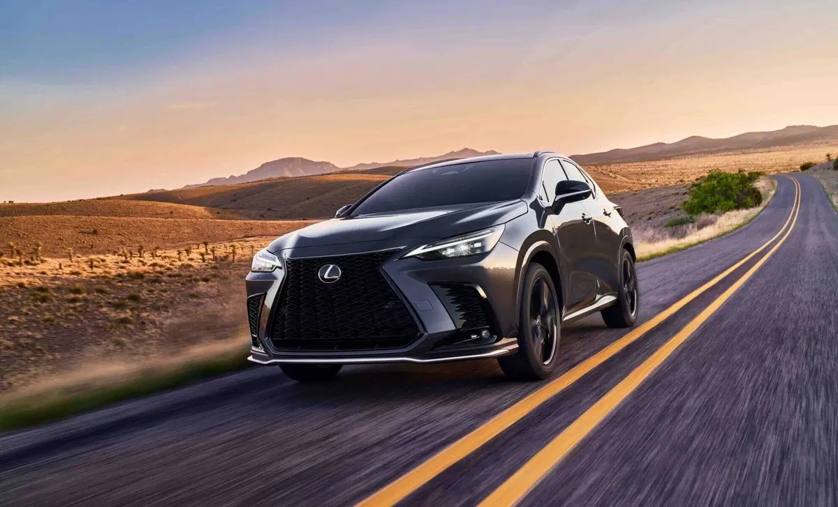 Lexus NX (2021-->>) (8)